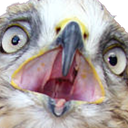 falconwtf emote for Discord