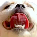 goodboy emote for Discord