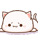 catbored emote for Discord