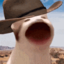 cowboybop emote for Discord