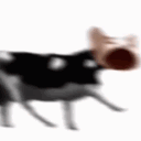 Polishbop emote for Discord