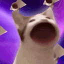 Galaxybop emote for Discord