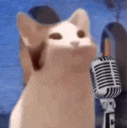 Boproll emote for Discord