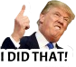 trump_i_did_that emote for Discord