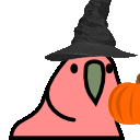 pumpkinParrot emote for Discord