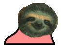 partyslothParrot emote for Discord