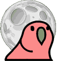 moonParrot emote for Discord