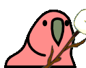 marshmallowParrot emote for Discord