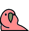 levitationParrot emote for Discord