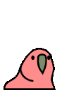 jumpingjrParrot emote for Discord