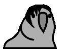 gothParrot emote for Discord