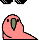 dealwithitnowParrot emote for Discord