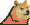 congadogeParrot emote for Discord