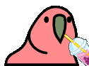 bobaParrot emote for Discord