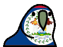 belizeParrot emote for Discord