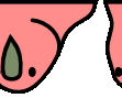 aussiereversecongaParrot emote for Discord