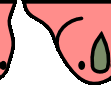 aussiecongaParrot emote for Discord