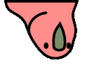 aussieParrot emote for Discord