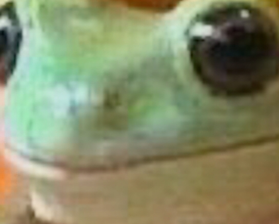 admirefrog emote for Discord