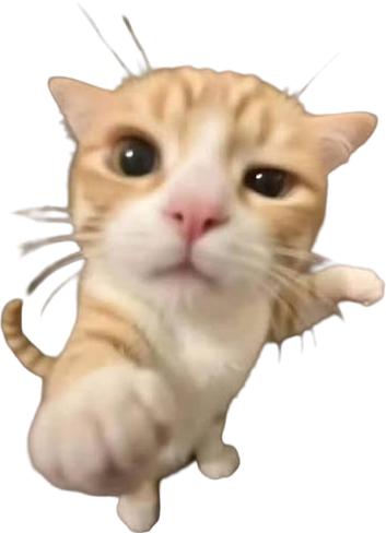 meo emote for Discord
