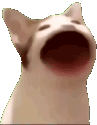 pop_cat emote for Discord