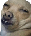 Dumbass emote for Discord