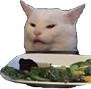 WomanYellingAtCat emote for Discord
