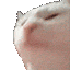 catJAMReversed emote for Discord