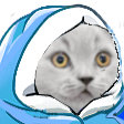 CatBlanket emote for Discord