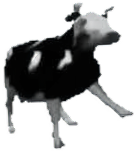 Polish_Cow emote for Discord