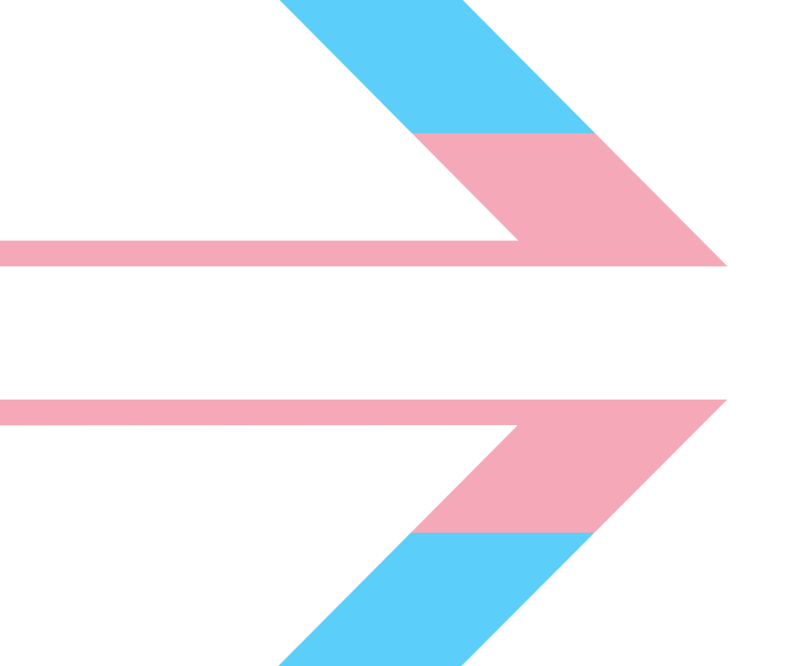 trans_rights emote for Discord