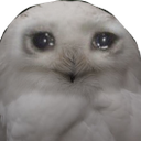 sadowl emote for Discord