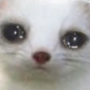 sadferret emote for Discord