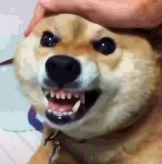 cool_doggo emote for Discord