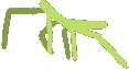 StickBugDance emote for Discord