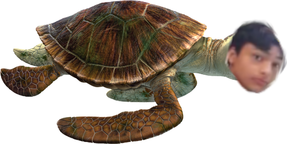 DaveTheTurtle emote for Discord