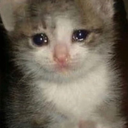 sad_cat_lol emote for Discord