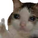sad_cat_thumbsup emote for Discord