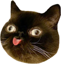 derpblep emote for Discord