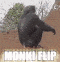 monki_flip emote for Discord