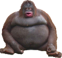 lemonke emote for Discord