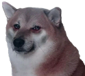 stop_pls emote for Discord