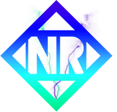 nascar emote for Discord