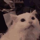Thurston_SCREAM emote for Discord