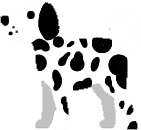 dalmatian emote for Discord