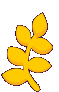 gold_leaf_left emote for Discord