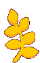 gold_leaf_right emote for Discord