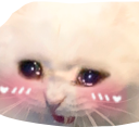 crycatblush emote for Discord