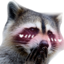 raccoon_blush emote for Discord