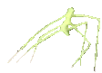 stickbug emote for Discord